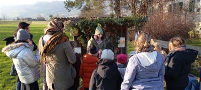 Adventsweg im Ried Balgach mit Barbara